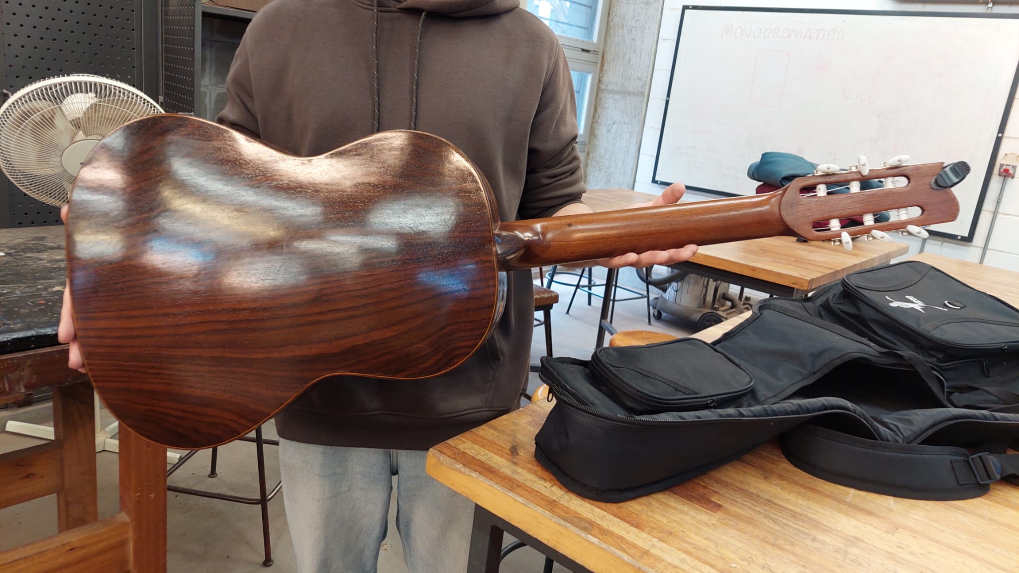 Violería (Luthería) 6