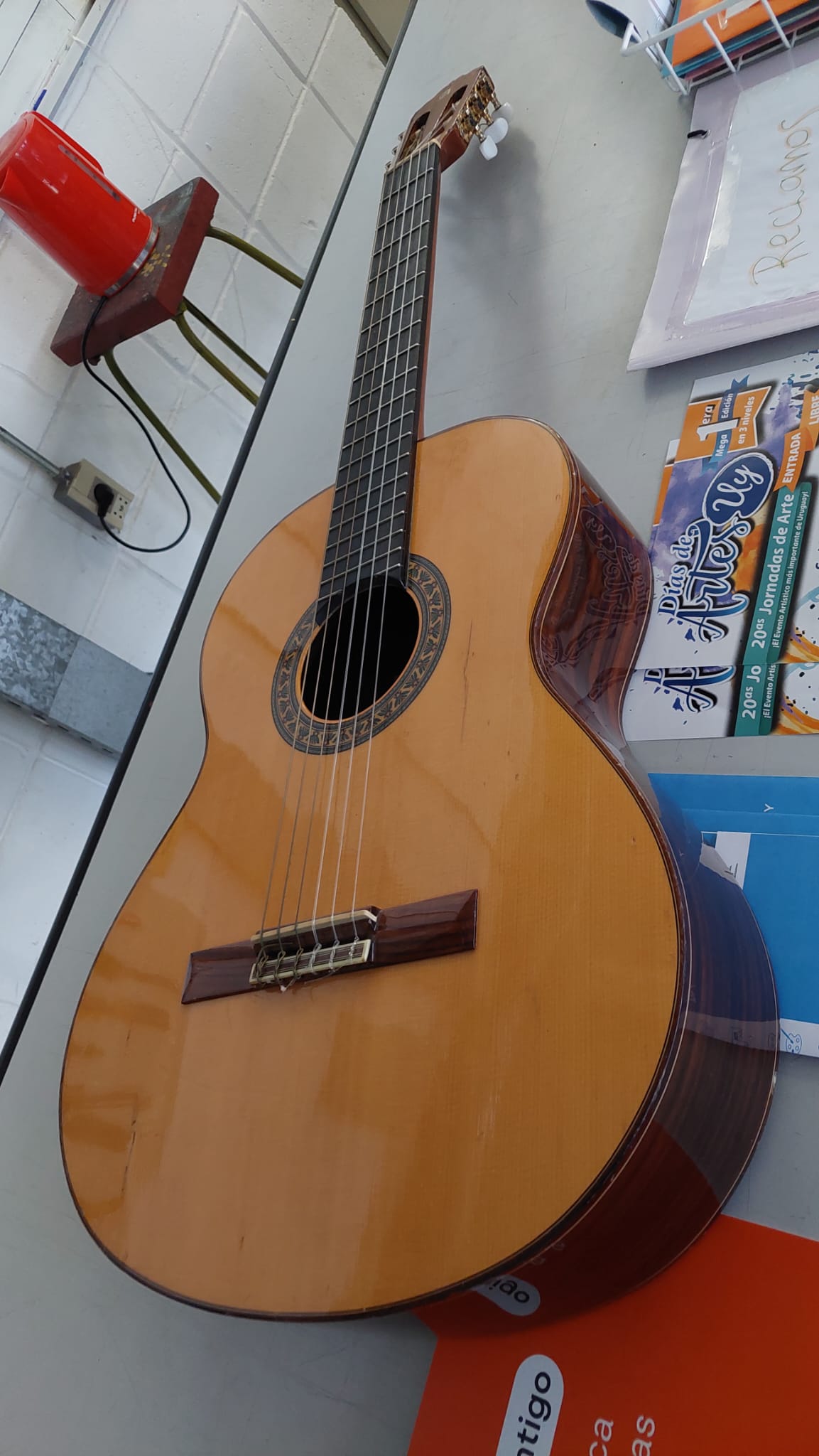 Violería (Luthería) 16