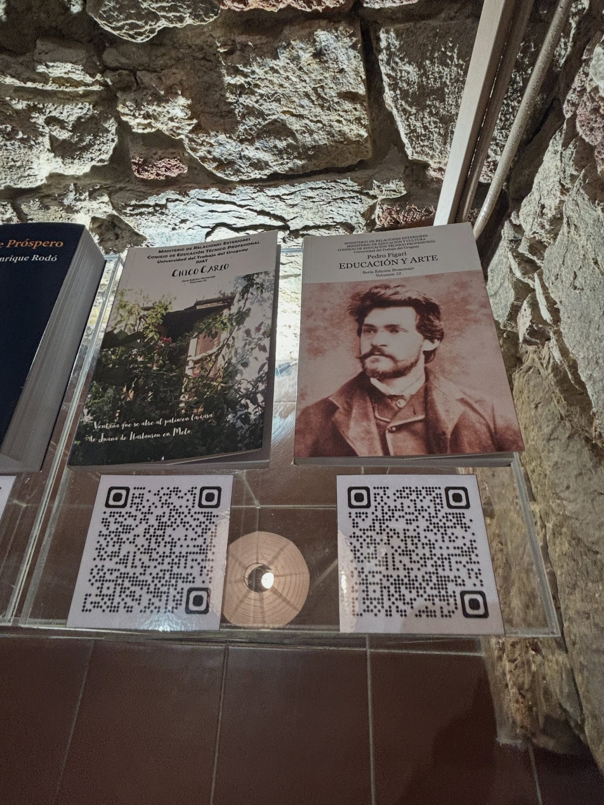 Modo Lectura – Día del Libro Figari 14