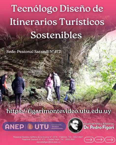 Lee más sobre el artículo 🍀Aprender recorriendo el territorio🌻