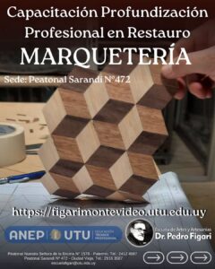 🖼️ Capacitación Profundización Profesional en Restauro | MARQUETERÍA 🖼️